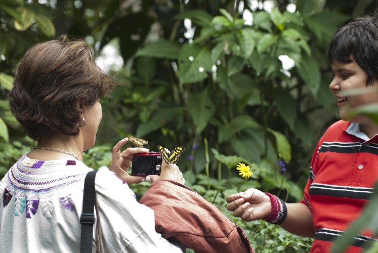 Colombia en 3 destinos — Una ruta, varios paisajes